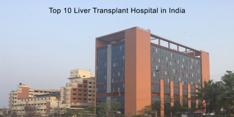 Top 10 Liver Transplant Hospital in India